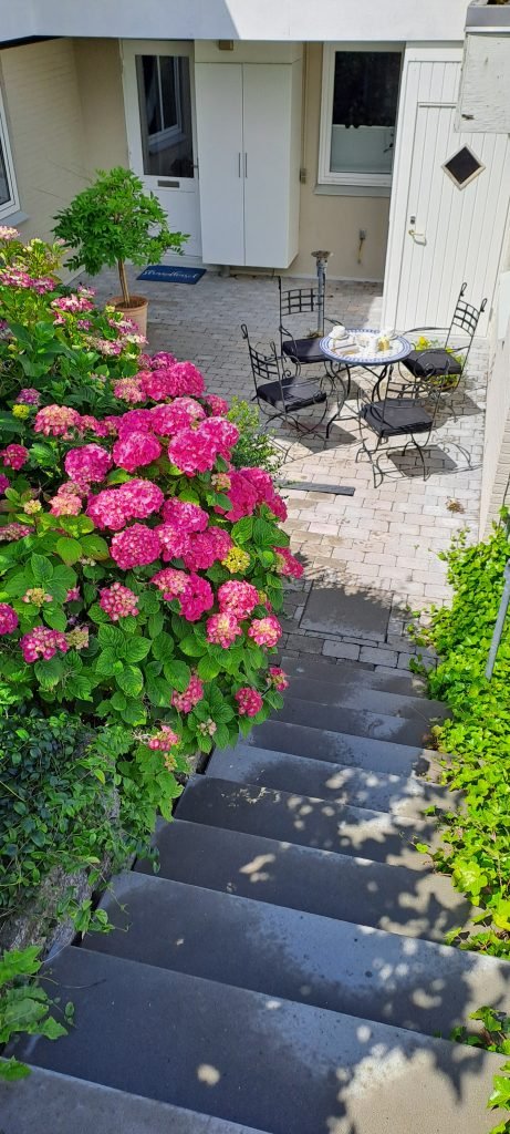 Trappe og blomster